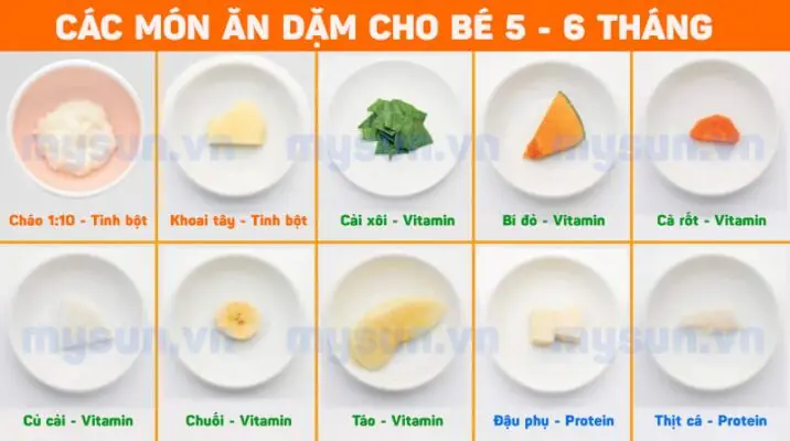 cách nấu các món thực đơn ăn dặm đúng cách cho bé 5 6 tháng tuổi