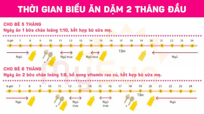 lịch thực đơn tập cho trẻ con dăn dặm đúng cách cho bé 5 6 tháng tuổi lần đầu tiên - MySun.vn