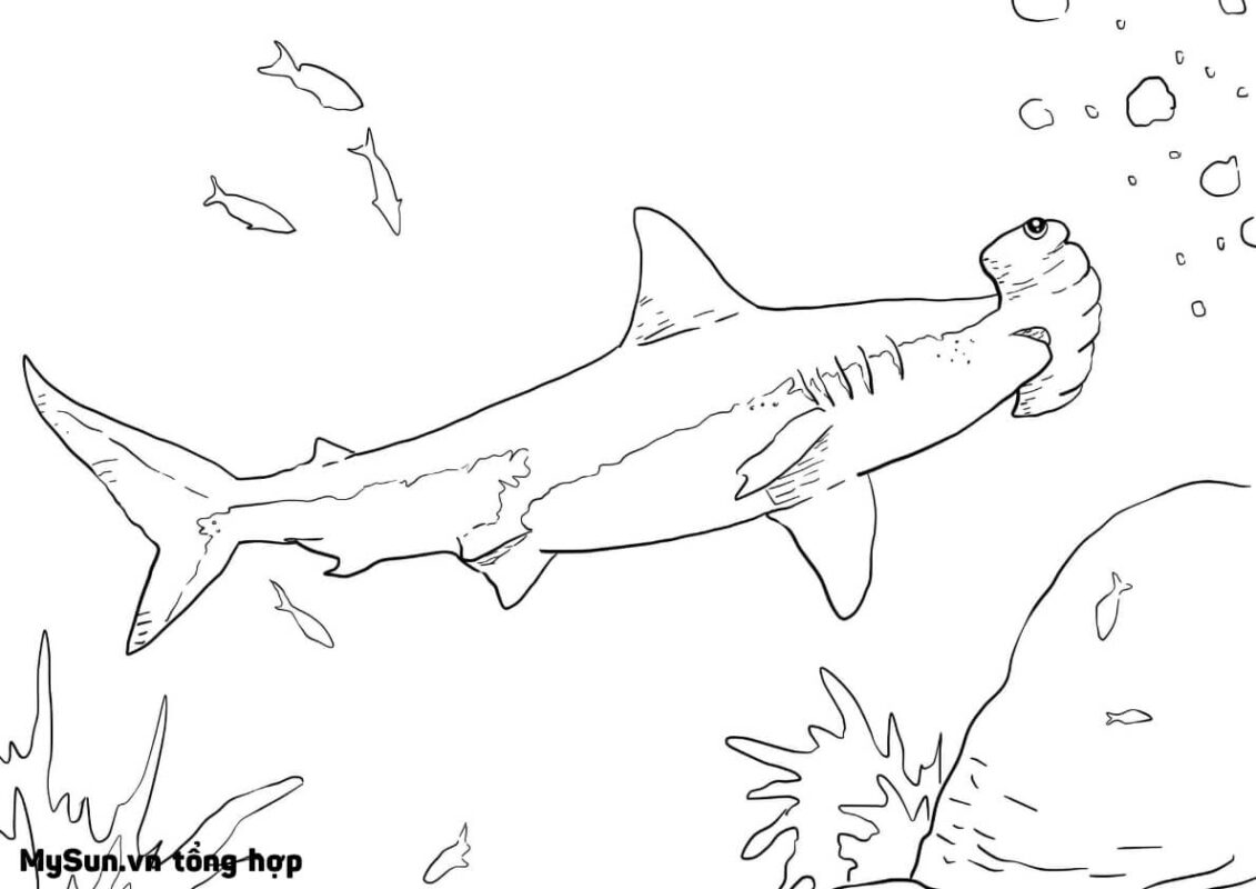 Tranh tô color cá mập giản dị và đơn giản đáng yêu và ngộ nghĩnh mang đến bé nhỏ  Trường Tiểu  học tập Thủ Lệ