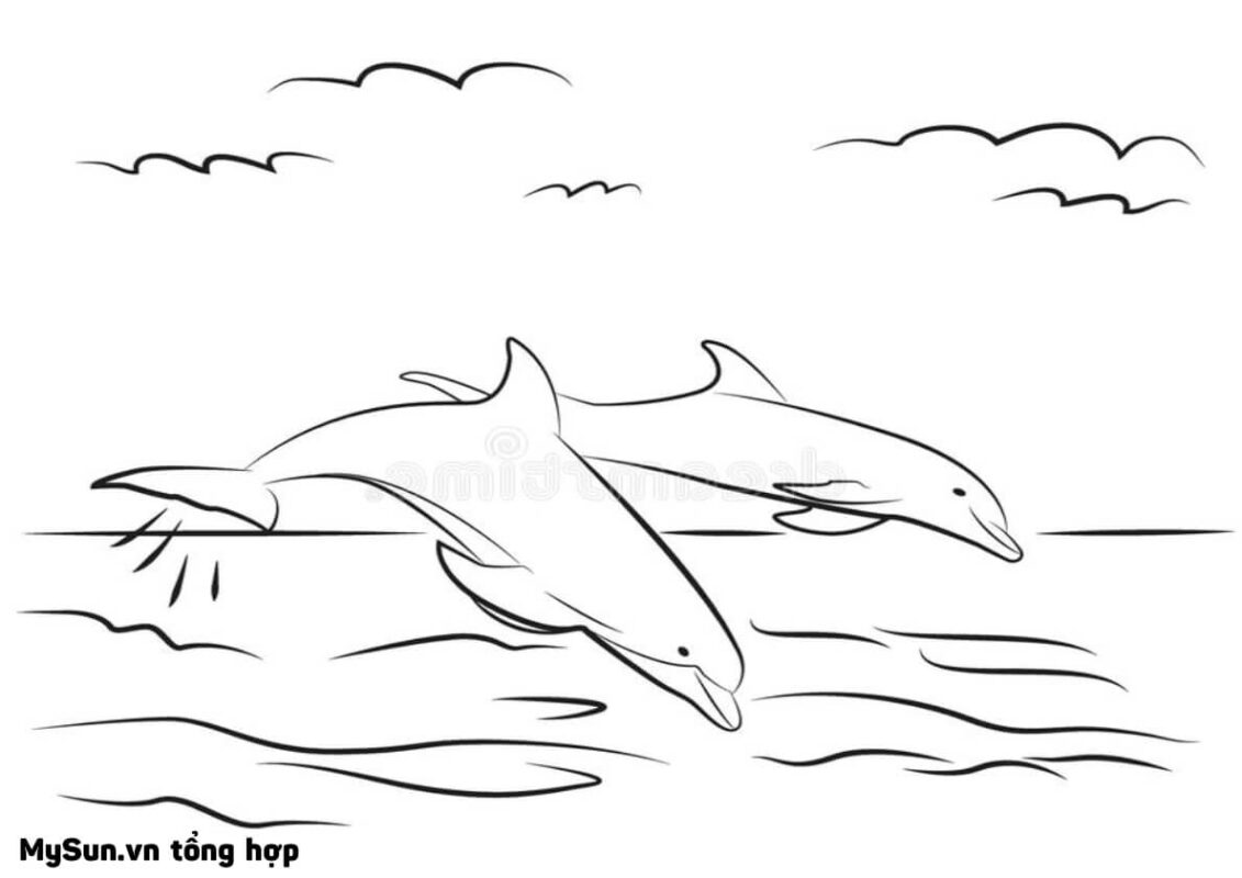 Hướng dẫn cách vẽ CON CÁ HEO How To Draw A Cartoon DolphinTHƯ VẼ  YouTube