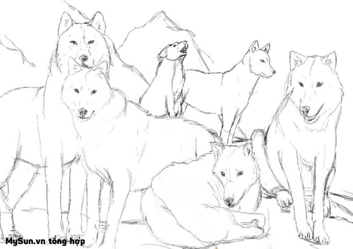 Hướng dẫn cách vẽ con chó sói bằng bút chì đơn giản nhất