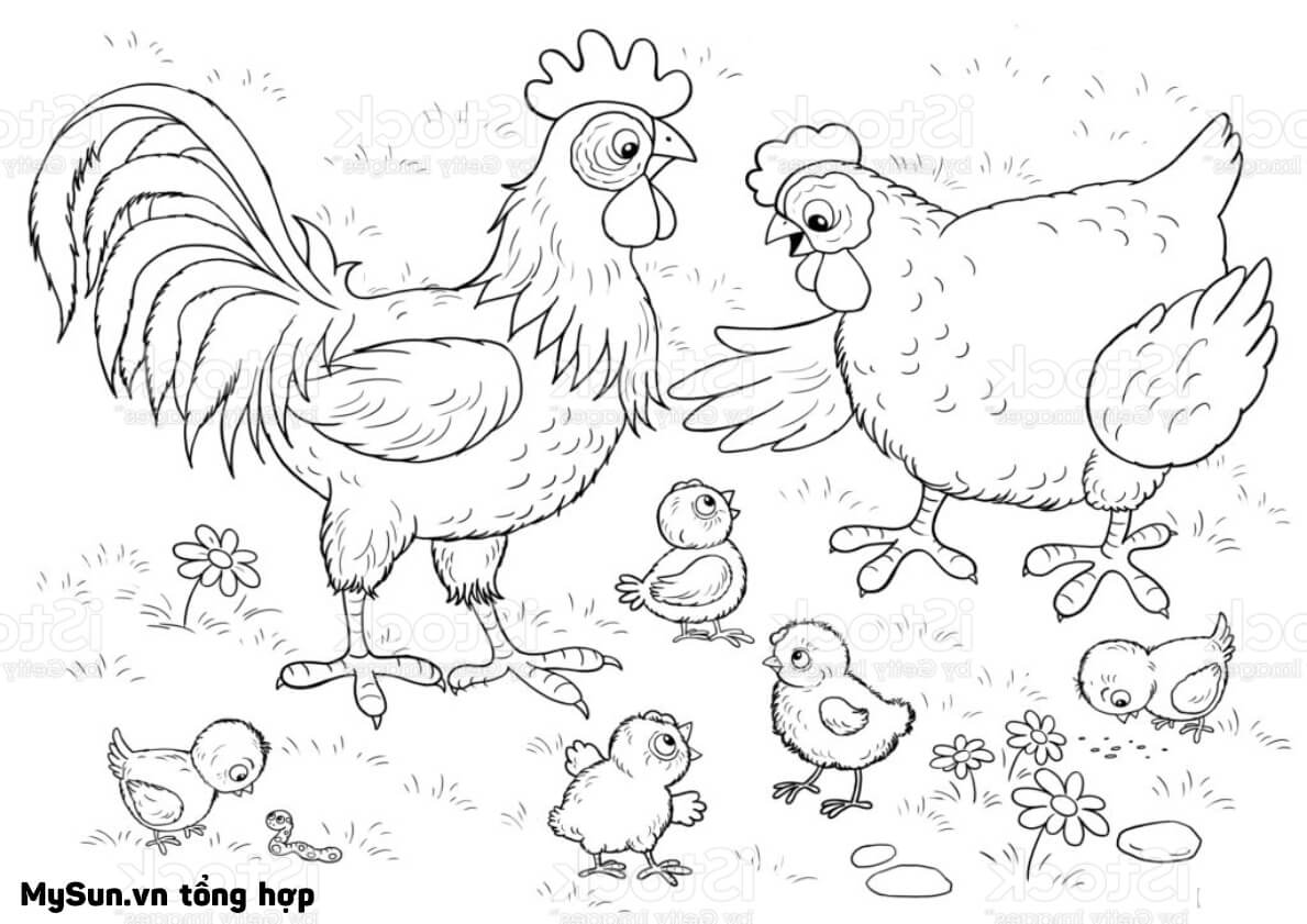 hình vẽ đàn gà trống rỗng cái đẹp nhất gà con cái nhằm tô màu