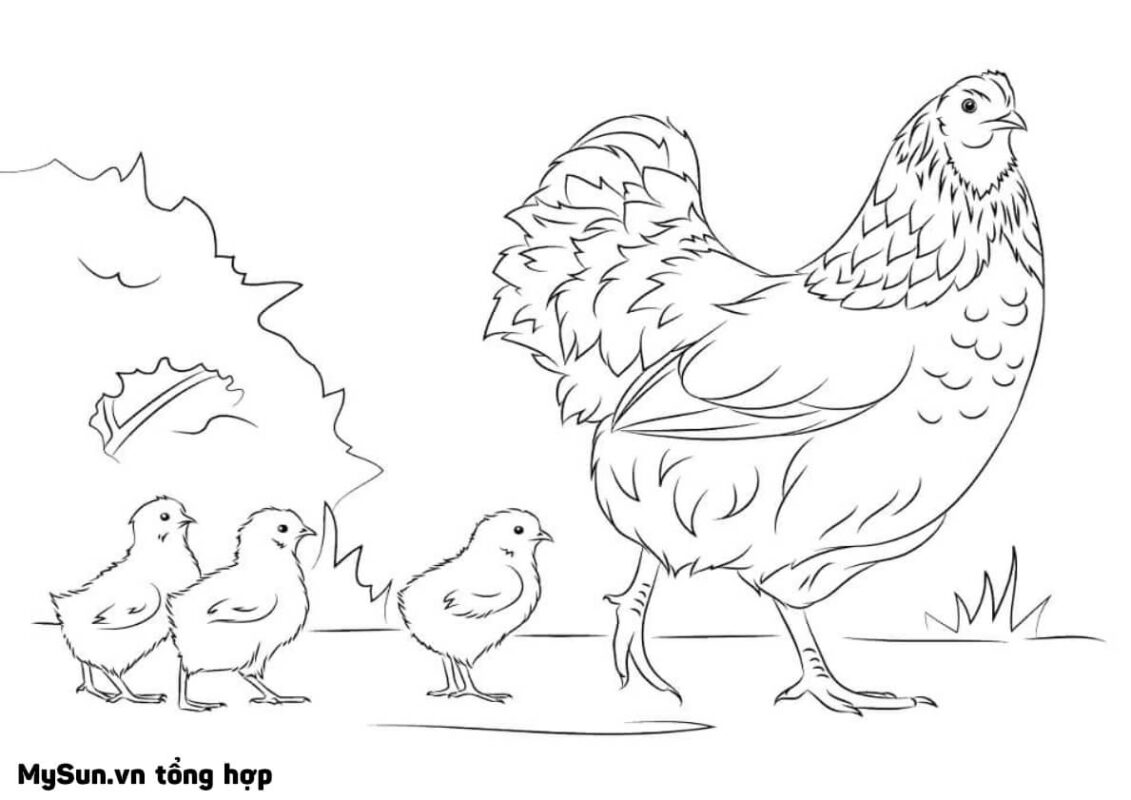 Cập nhật với hơn 62 vẽ tranh con gà không thể bỏ qua  Tin Học Vui