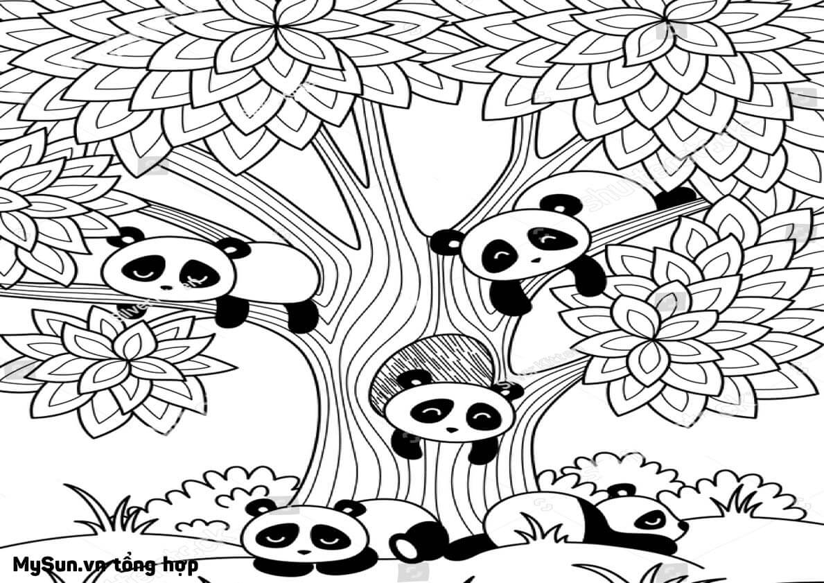 Cách vẽ hình, tô màu tranh con gấu trúc Panda cute đáng yêu