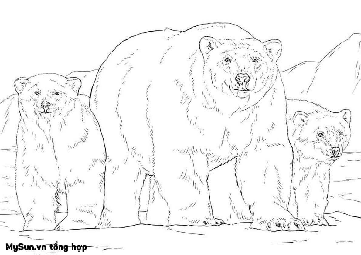 Cách vẽ tô màu tranh ảnh hình con GẤU đẹp, dễ thương đơn giản