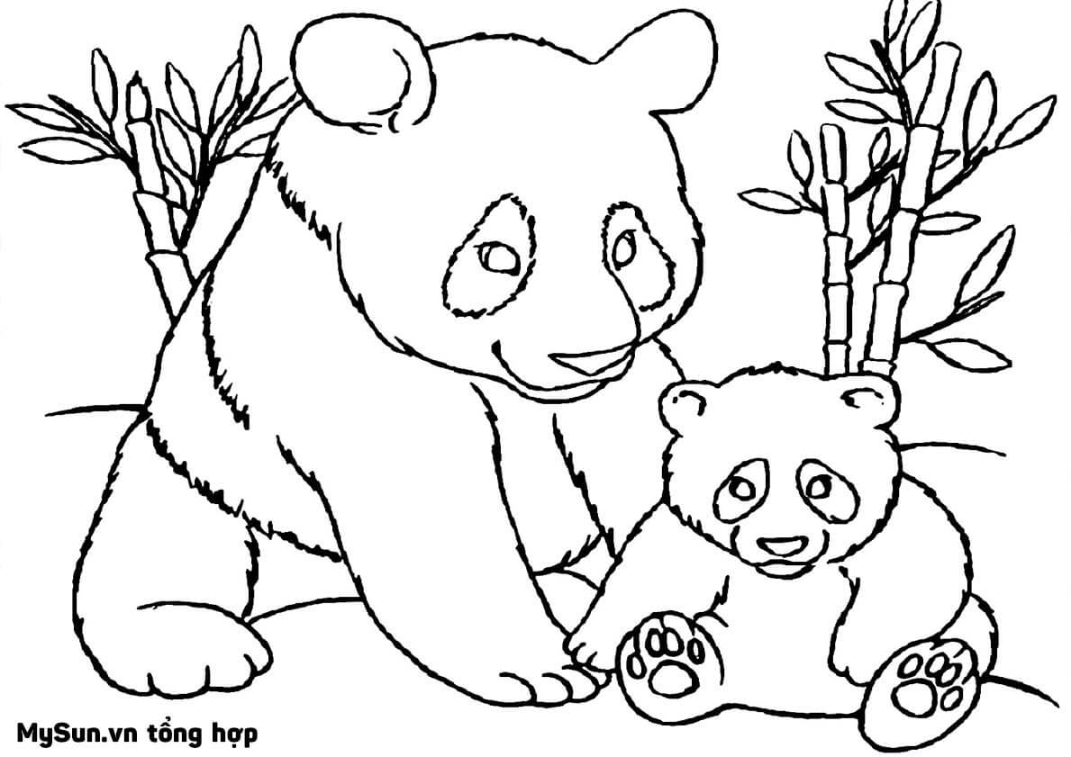 Cách vẽ hình, tô màu tranh con gấu trúc Panda cute đáng yêu