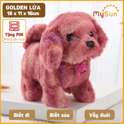 Chó Golden Lửa