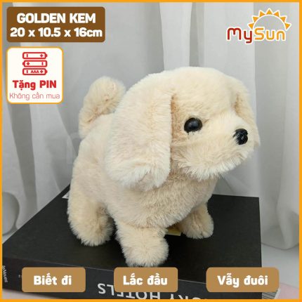 Chó Golden Kem