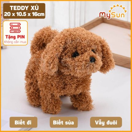 Chó Teddy Xù