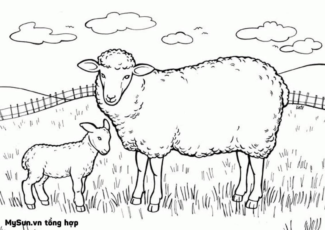 hình vẽ con cừu cute