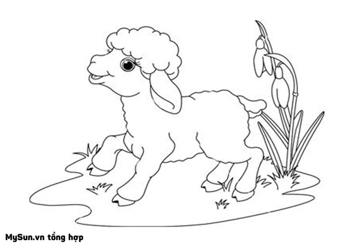 hình vẽ con cừu đơn giản